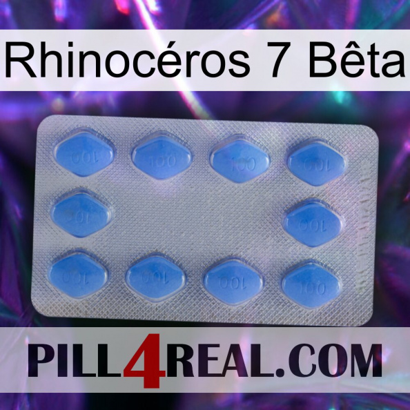 Rhinocéros 7 Bêta 21